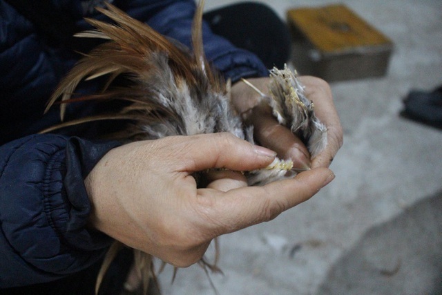 Ngôi làng độc nhất vô nhị ở Thủ đô làm giàu từ… lông gà-3