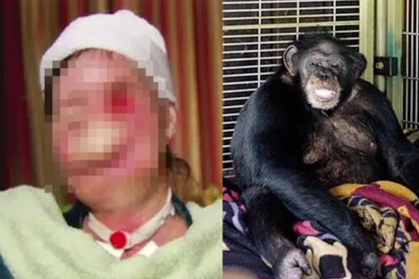 Mẹ già tử vong sau 4 ngày nhập viện, gia đình xem lại camera giám sát mới phát điên với hành động của người chăm sóc-3