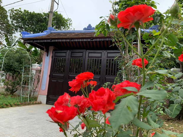 Rời New York, cặp vợ chồng về Huế cải tạo ngôi nhà cổ 100 tuổi, tận hưởng cuộc sống tự cung tự cấp như người xưa-4