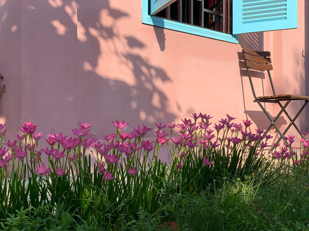 Rời New York, cặp vợ chồng về Huế cải tạo ngôi nhà cổ 100 tuổi, tận hưởng cuộc sống tự cung tự cấp như người xưa-15