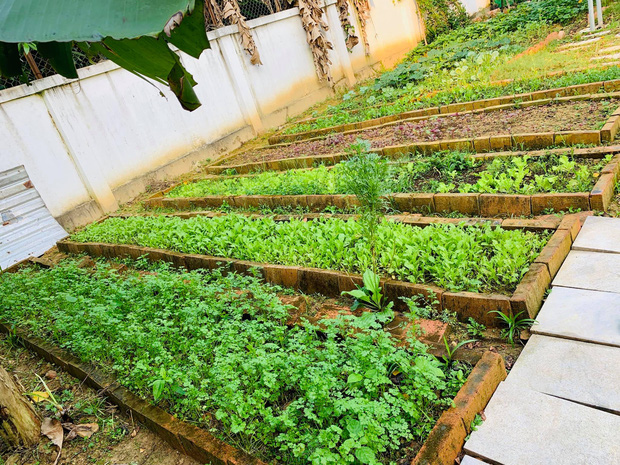 Rời New York, cặp vợ chồng về Huế cải tạo ngôi nhà cổ 100 tuổi, tận hưởng cuộc sống tự cung tự cấp như người xưa-17