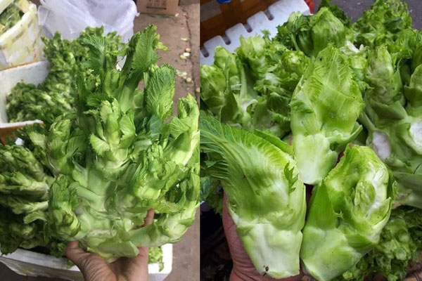 Loại rau đặc sản từng có giá cả trăm nghìn/kg, nay chỉ còn 20.000 đồng/kg-4