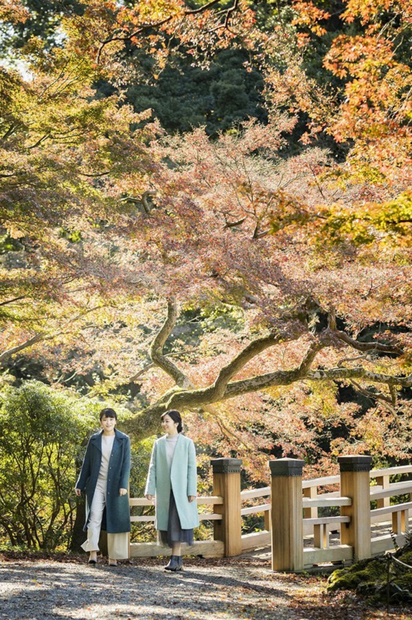 Công chúa xinh đẹp nhất Hoàng gia Nhật gây sốt với nhan sắc ngày càng lên hương, ăn vận đơn giản cũng tỏa ra khí chất hoàng tộc nổi bần bật-6