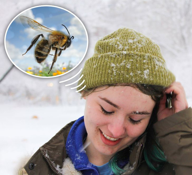 Điều gì sẽ xảy ra với cơ thể nếu bạn đeo tai nghe quá lâu?-5