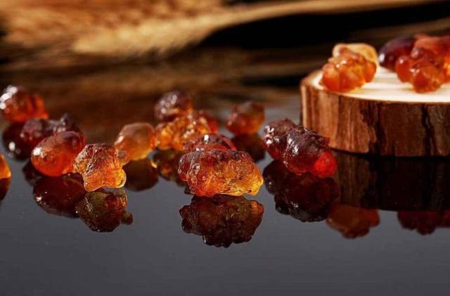 Cây chảy nước mũi, hứng đem bán được hàng trăm nghìn/kg-3