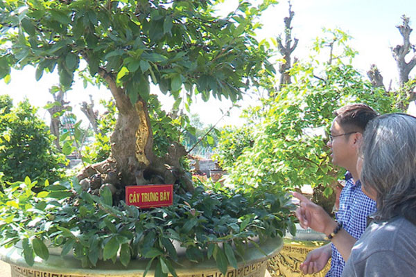 Dân đổ ra đường đi chơi: Grab, Be tăng giá gấp đôi taxi truyền thống-3