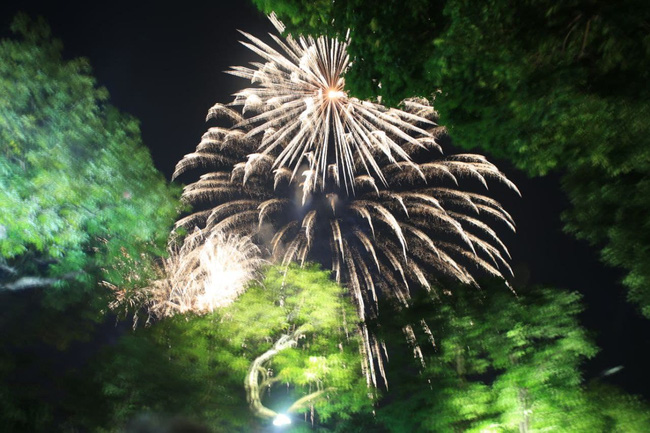 Những khoảnh khắc ấn tượng nhất khi pháo hoa thắp sáng bầu trời Hà Nội và TP.HCM chào đón năm mới 2021-7