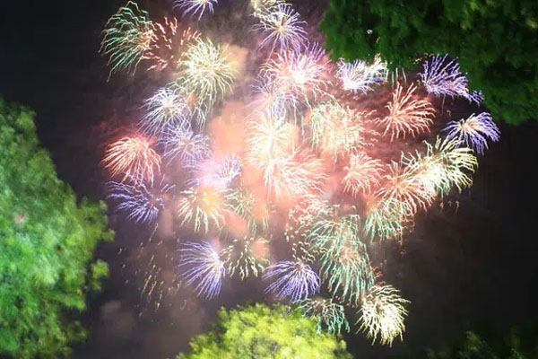 Video: Mãn nhãn màn pháo hoa chào đón năm mới 2021-1