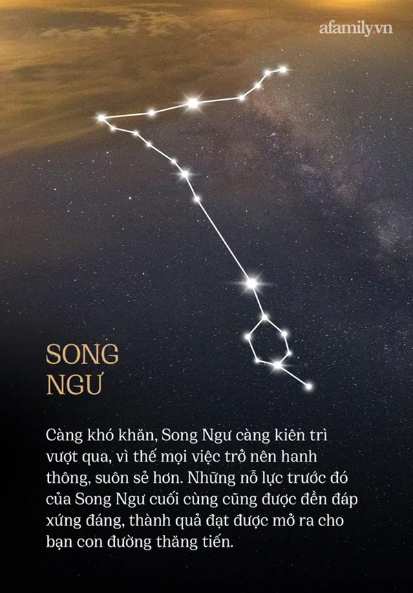 Năm 2021 đã bắt đầu, điều gì đang chờ đợi 12 cung Hoàng đạo ở phía trước?-12