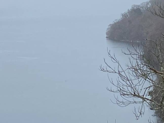 Lượng khách du lịch sụt giảm vì Covid-19, quái vật hồ Loch Ness bỗng dưng xuất hiện nhiều hơn-2