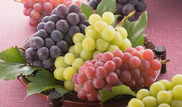 Gần 20 năm sau bộ phim Nàng Dae Jang Geum, ở tuổi 50 nữ chính vẫn tự tin với mặt mộc láng mịn: Bí mật nhan sắc nằm ở loại quả mà cô ăn mỗi tối-5