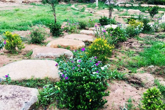 Vượt 400km đến thăm chồng, vợ sững sờ thấy cảnh trong vườn