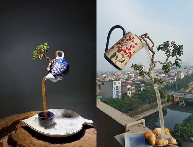 Chán cây to, thượng đế rủ nhau mua tiểu cảnh bay độc đáo giá tiền triệu-1