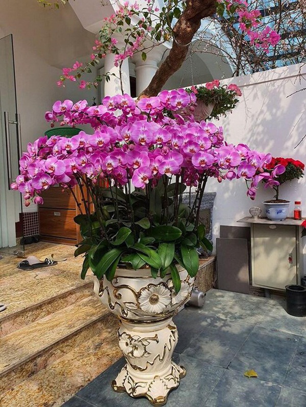 Biệt thự triệu đô của Tuấn Hưng: Thiết kế đậm chất châu Âu, sang chảnh từ phòng khách tới tận ban công-9