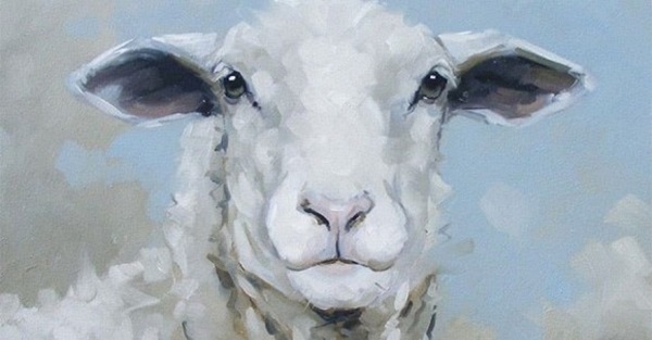 Nửa đầu tháng 1/2021: 3 con giáp ngập trong may mắn, làm gì cũng sung túc, cuộc sống viên mãn ít ai sánh bằng-2