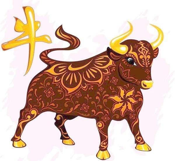 Tử vi tuổi Sửu năm 2021: Công danh sự nghiệp nhiều biến động và thách thức-2