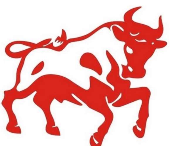 Tử vi tuổi Sửu năm 2021: Công danh sự nghiệp nhiều biến động và thách thức-4