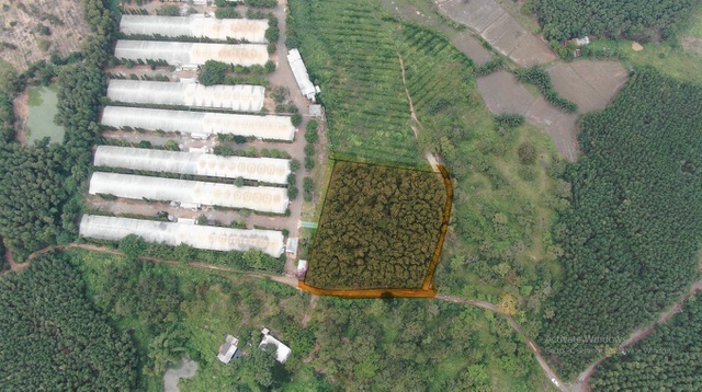 Đại gia chơi lớn, bỏ 30 tỷ đồng mua đất sân bay Long Thành làm nhà vườn-4