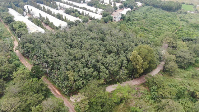 Đại gia chơi lớn, bỏ 30 tỷ đồng mua đất sân bay Long Thành làm nhà vườn-5