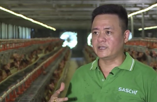 Cho gà mía uống thuốc bắc, anh nông dân thu mỗi ngày 10 triệu đồng từ bán trứng-2