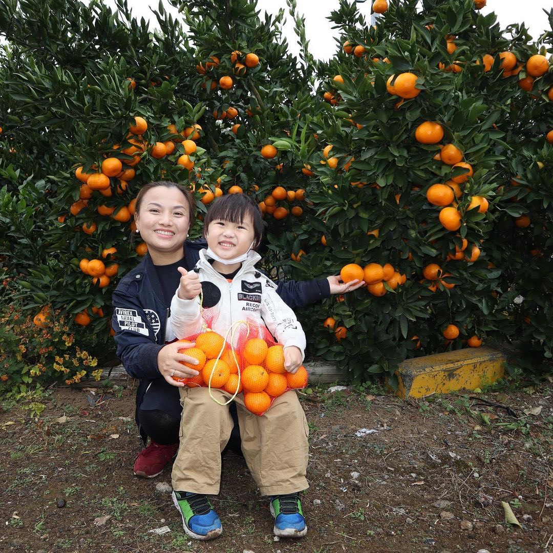 Quỳnh Trần JP chia sẻ nhiều điều ứa nước mắt phía sau tin vui tích cóp đủ tiền mua được nhà từ nghề Youtuber và là nhân vật vinh dự được chính phủ Nhật mời ghi hình-22