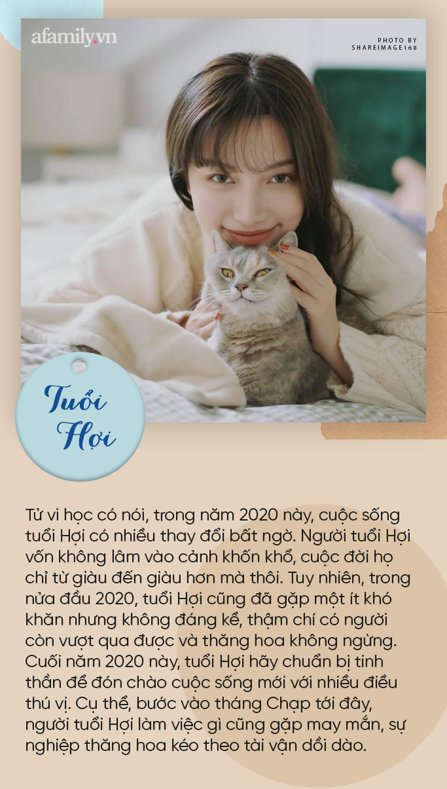 Tháng Chạp tới đây, 3 con giáp này sẽ gặp nhiều may mắn, ngày khổ tận đã kết thúc chuẩn bị tinh thần cam lai, Tết Tân Sửu đủ đầy-3