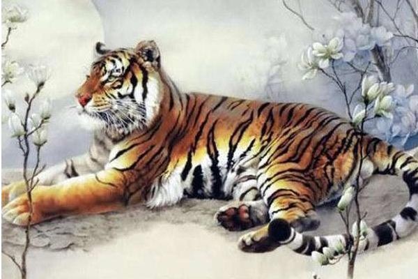 Tử vi tuổi Dần năm 2021: Tài lộc khá, dễ gặp quý nhân, tình duyên đào hoa rực rỡ-5