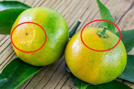 Mua cam, nhìn vào chỗ này, thấy càng to chứng tỏ càng ngọt, phải chọn ngay