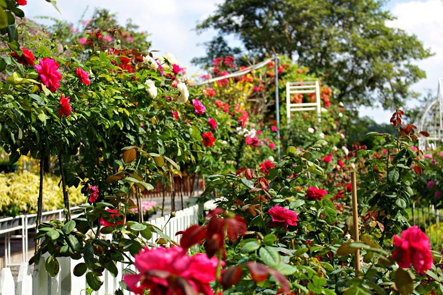 Phát hiện mình là kẻ đổ vỏ, chàng trai khiến mẹ, vợ tương lai tái mặt-1