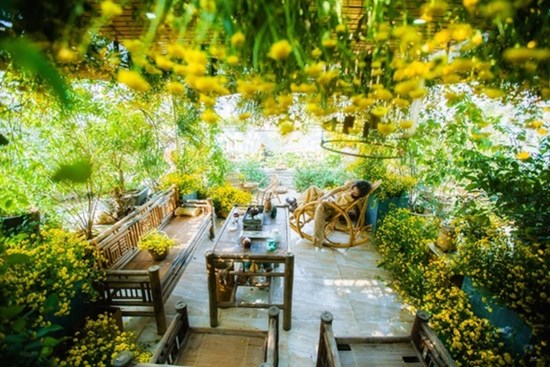 Vườn hoa 200m2 trên sân thượng, đẹp như 