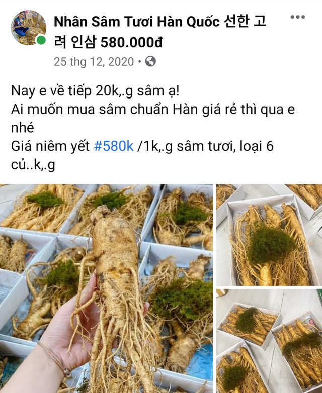 Ngã ngửa với sâm tươi Hàn Quốc giá 500.000 đồng/kg-3