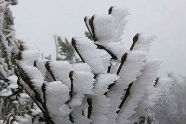 Clip: Người đàn ông cởi trần, hò hét giữa băng giá trên đỉnh Mẫu Sơn khiến tất cả thất kinh-1
