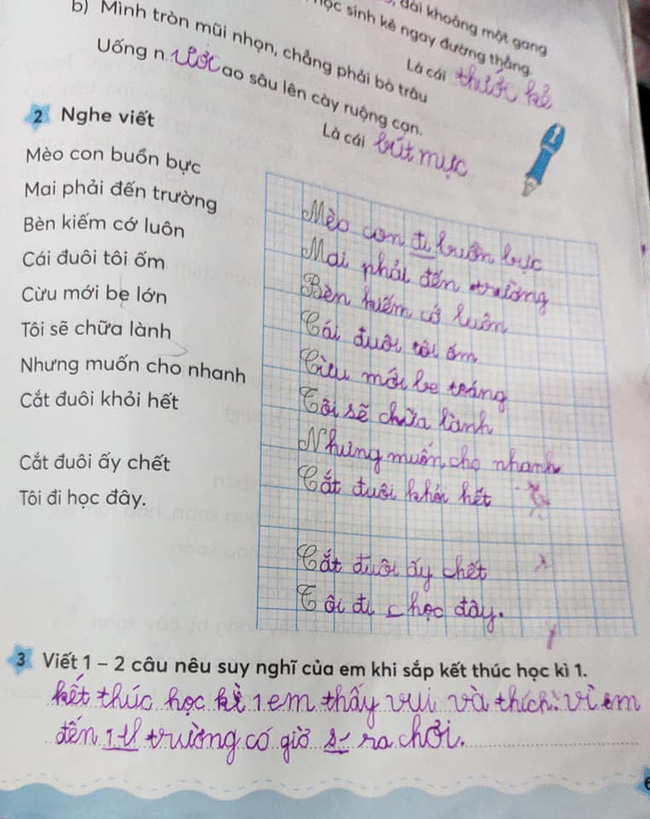 Cậu bé lớp 1 khẳng định chắc nịch thích đi học nhưng nghe lý do ai cũng choáng, mẹ còn phải kêu trời: Khổ tâm hết sức!-2