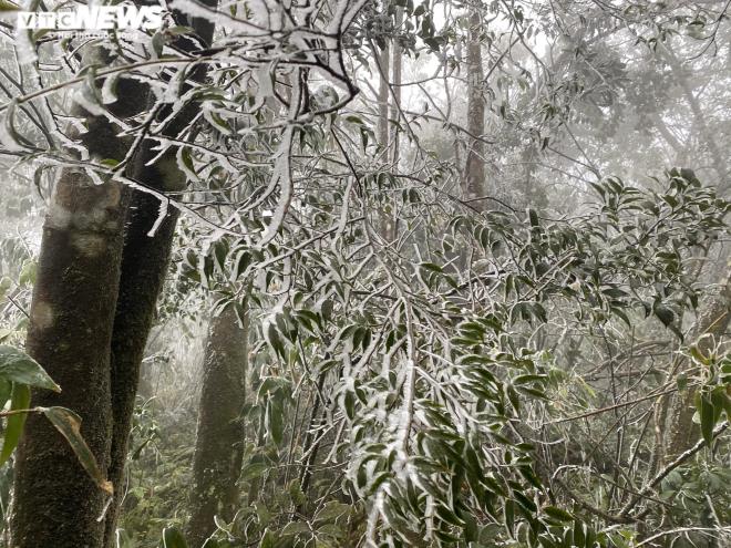 Ảnh: Du khách đổ xô ngắm băng giá kỳ thú ở vùng núi phía Bắc-13