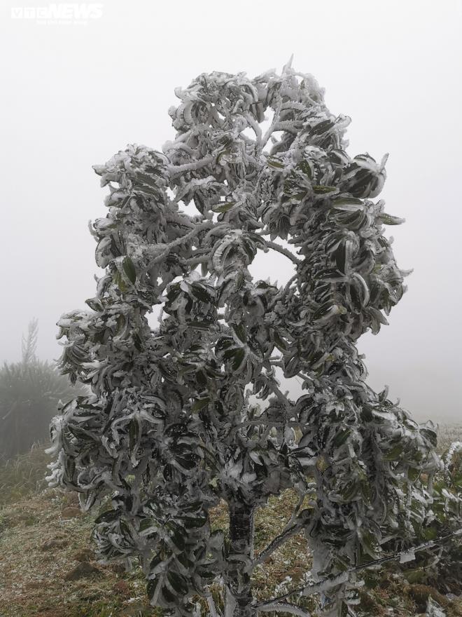 Ảnh: Du khách đổ xô ngắm băng giá kỳ thú ở vùng núi phía Bắc-14