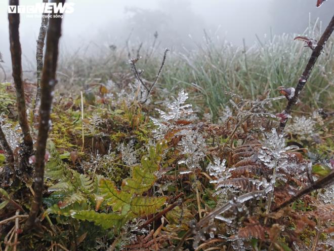Ảnh: Du khách đổ xô ngắm băng giá kỳ thú ở vùng núi phía Bắc-15