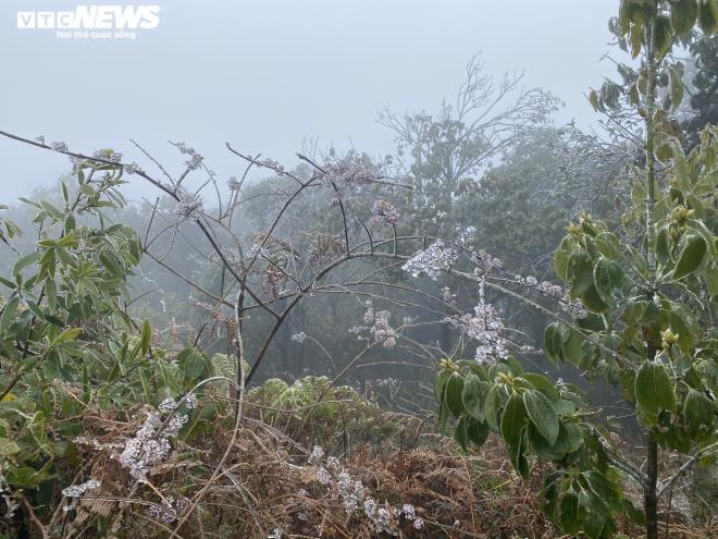 Ảnh: Du khách đổ xô ngắm băng giá kỳ thú ở vùng núi phía Bắc-16