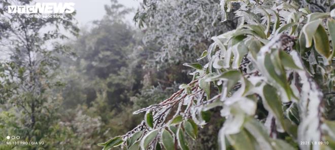 Ảnh: Du khách đổ xô ngắm băng giá kỳ thú ở vùng núi phía Bắc-20