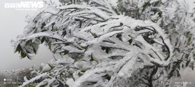 Ảnh: Du khách đổ xô ngắm băng giá kỳ thú ở vùng núi phía Bắc-22