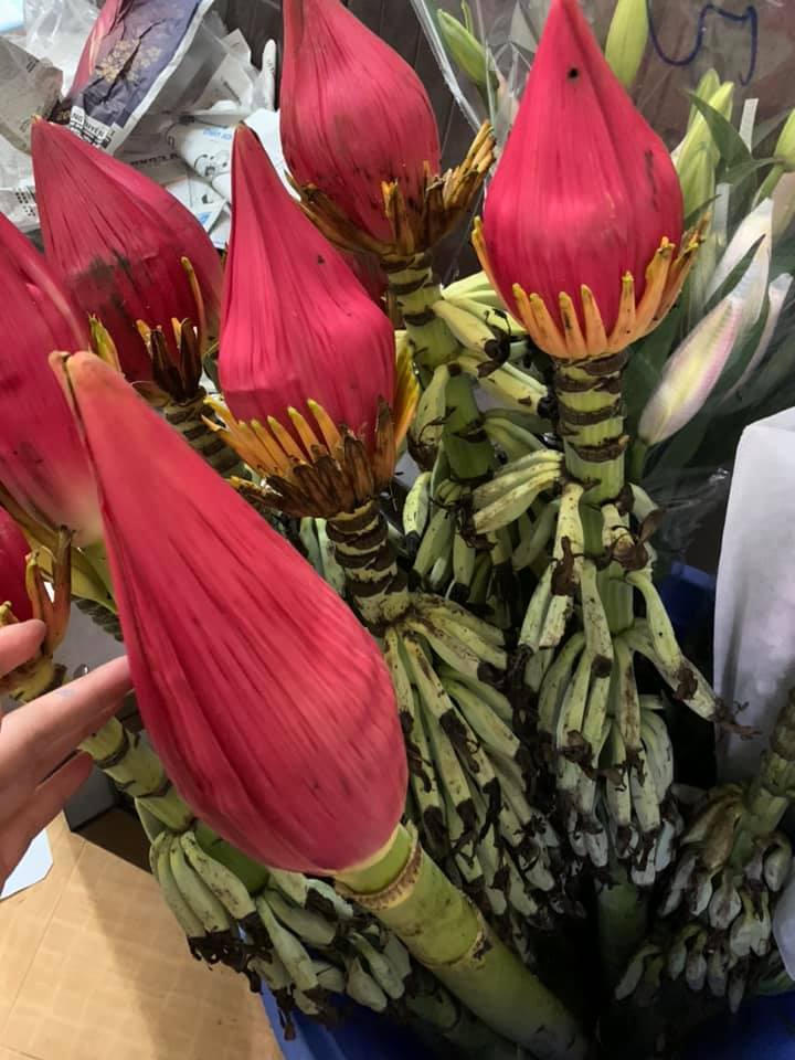 Dân công sở rủ nhau mua hoa chuối rừng về chơi Tết-1