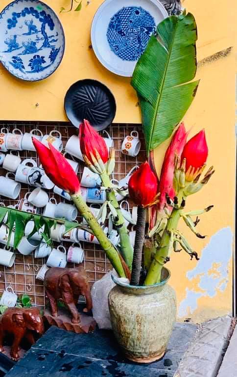 Dân công sở rủ nhau mua hoa chuối rừng về chơi Tết-2