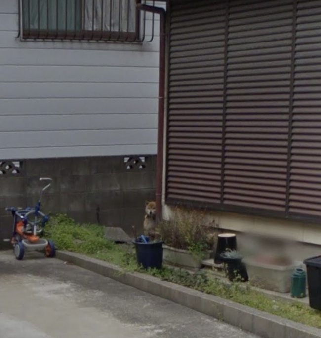 Dùng Google Earth tìm nhà mình, người đàn ông thấy người bố đã qua đời 7 năm đang đứng chờ một bóng dáng phía xa và mẩu chuyện gây xúc động-5