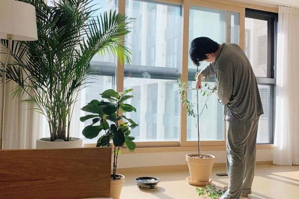 Phong thuỷ bất ngờ từ những kiểu bàn ăn quen thuộc trong nhà-2