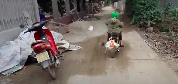 Treo chú chó nhỏ lủng lẳng trên thanh tre rồi lái xe kéo đi trên đường, anh em Tam Mao bị chỉ trích vì ngược đãi động vật-1