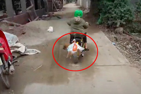 Cô gái ngồi ở cốp ô tô khi xe đang đi trên đường, thấy máy quay còn nhoẻn miệng cười khiến CĐM ngán ngẩm-2