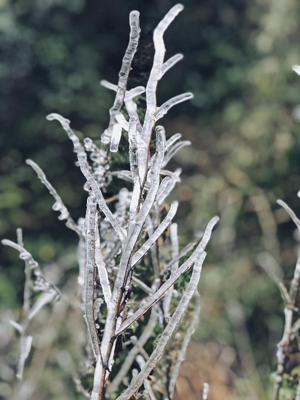 Ùn tắc đèo Ô Qúy Hồ - Sa Pa do nhiều du khách đổ lên xem băng tuyết-8