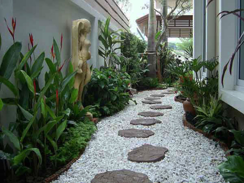 Lựa chọn cây phong thủy bài trí trong nhà, xua tà khí, mang lại may mắn cho gia chủ-2