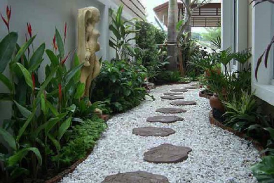 Lựa chọn cây phong thủy bài trí trong nhà, xua tà khí, mang lại may mắn cho gia chủ