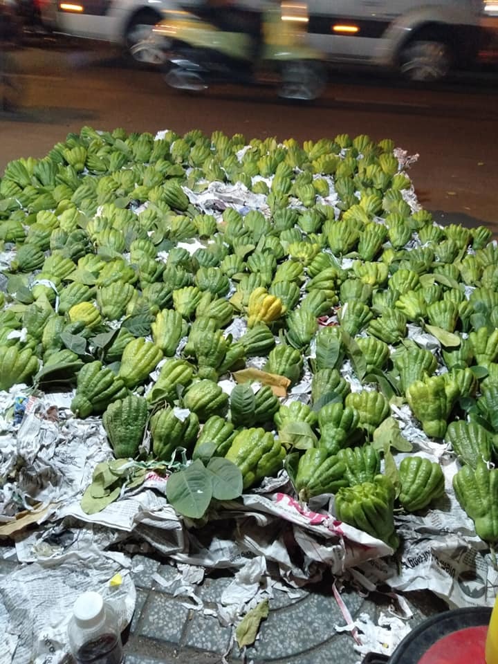 50 triệu mua 500 quả phật thủ bán Tết, 10 ngày ăn lãi gấp đôi-6