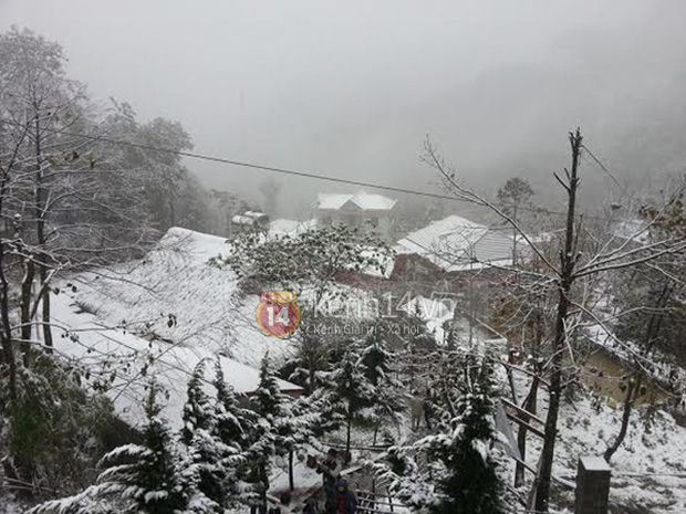 Nhiệt độ Sa Pa xuống dưới 0 độ C, có mưa và tất cả đều đang trông chờ tuyết rơi như 7 năm trước-7
